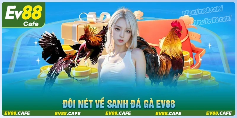 Đôi nét về sảnh chơi đá gà ev88