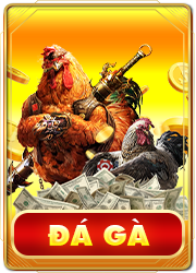 Đá gà ăn tiền siêu cuốn hút